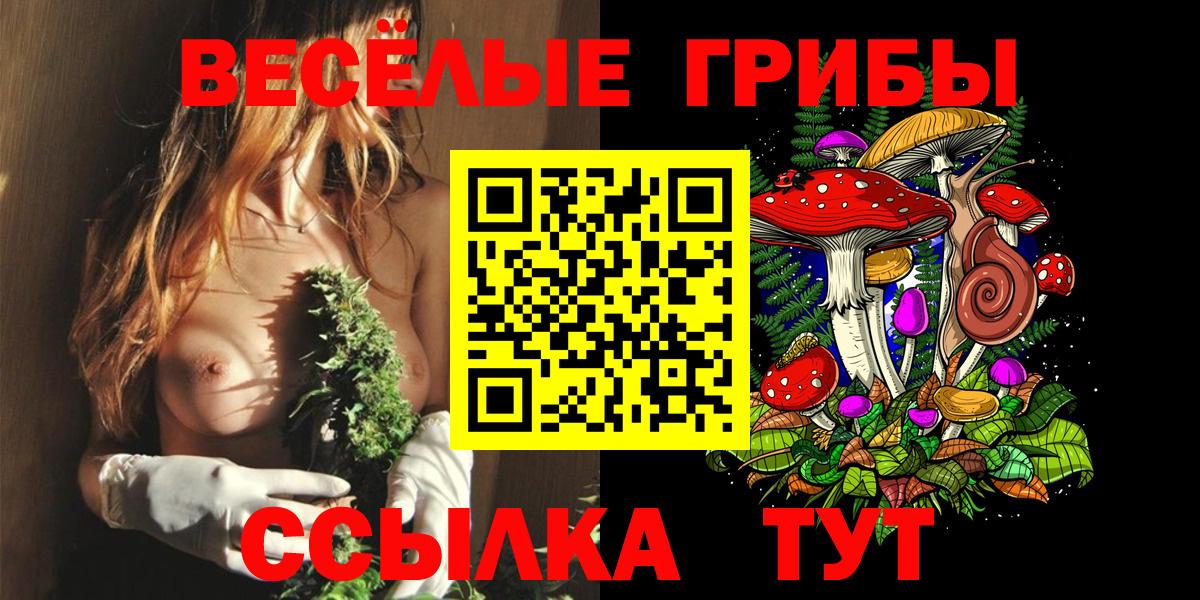 Галлюциногенные грибы прущие грибы Избербаш